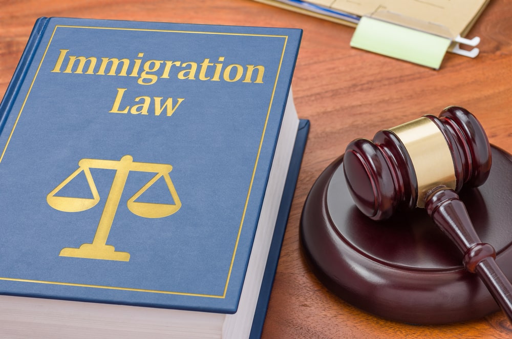 Read more about the article Breaking Down The Immigration Process